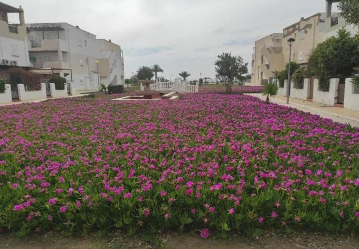 Naturista Natura World Playas de Vera Bagian luar foto